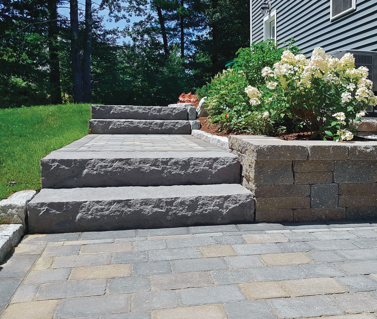 Cataldo-Chelmsford-Bennet-web-1536x1299.jpg